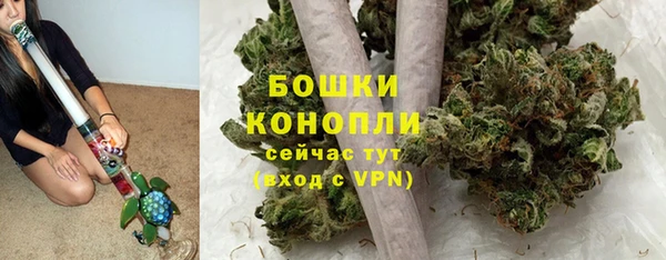 apvp Горняк