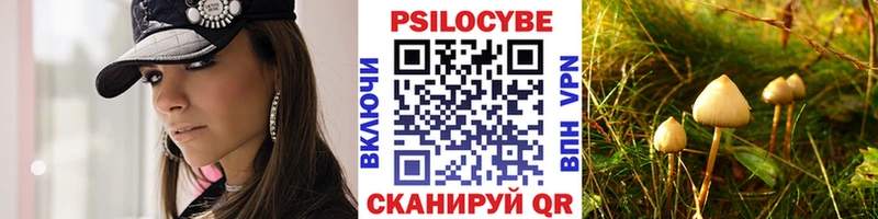 Псилоцибиновые грибы Psilocybe что такое Дубовка